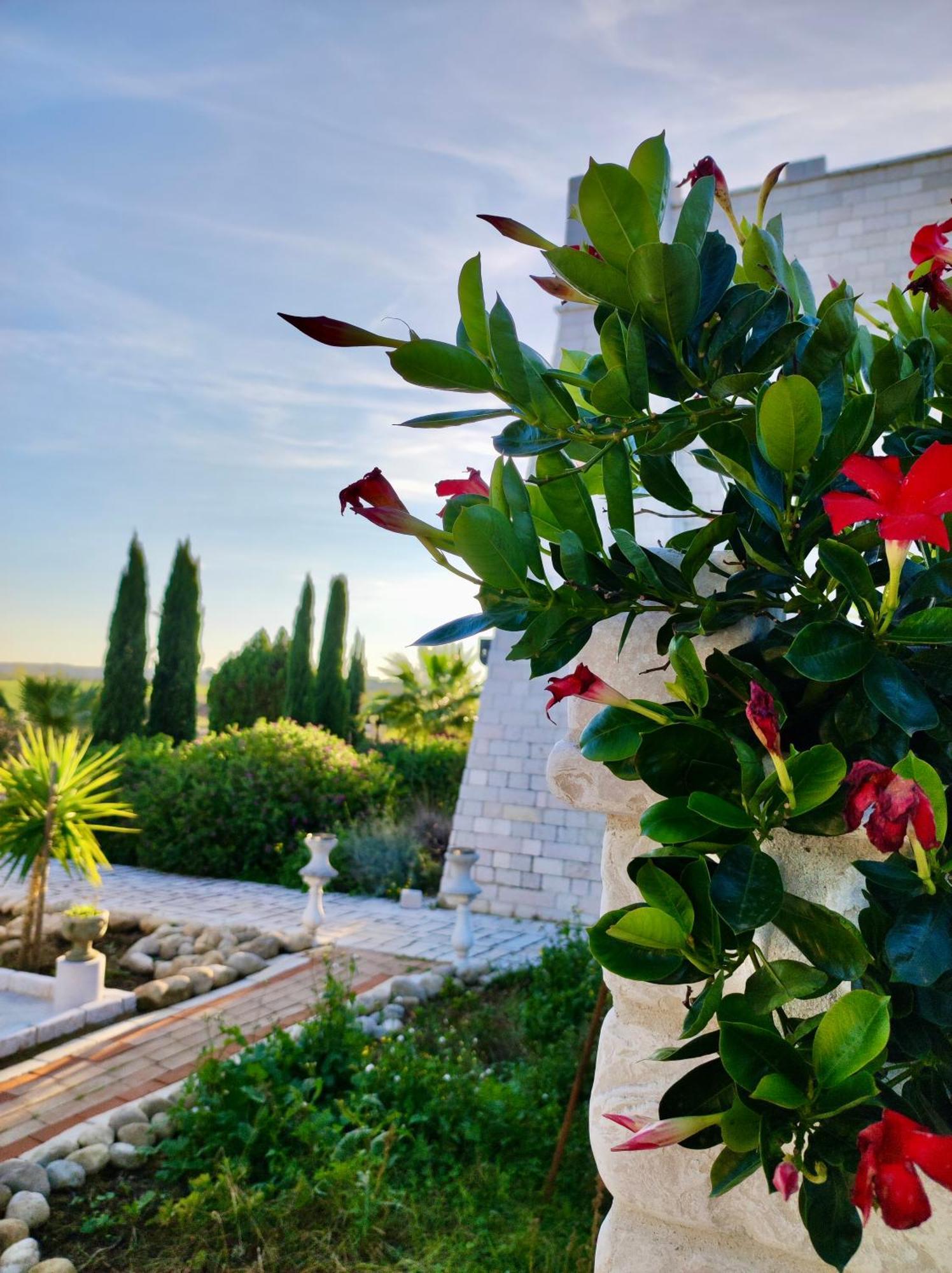 Albadido Bed and Breakfast Campomarino  Buitenkant foto